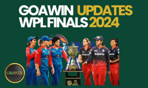 wpl final 2024 - goawin